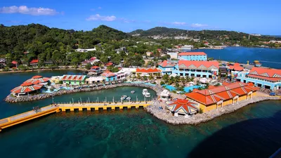 Roatan Sloths & Monkeys, Chocolate & Rum Tasting, and West Bay Beach Break