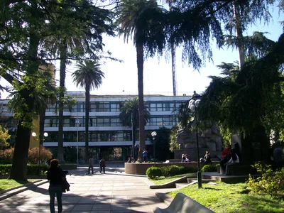 Buenos Aires Half-Day Bike Tour of City Highlights