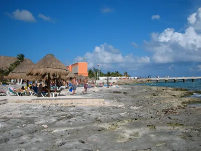 Costa Maya Snorkeling on Reef with Fish and Turtles