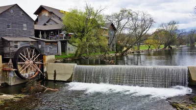 Paula Deen's Lumberjack Feud Supper Show with All-You-Can-Eat Dinner in Pigeon Forge