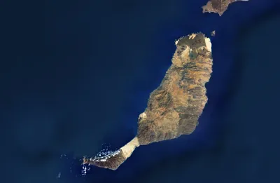 Lobos Island Half-Day Sailing Tour with Lunch from Fuerteventura