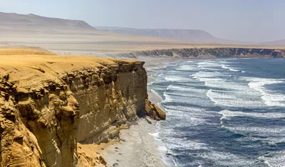 Paracas, Ballestas Islands, Pisco Nietto Winery and Huacachina Guided Day Trip from Lima