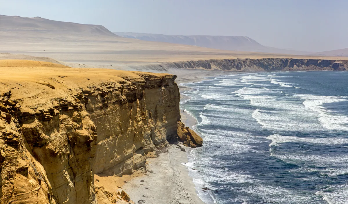 Paracas, Ballestas Islands, Pisco Nietto Winery and Huacachina Guided Day Trip from Lima