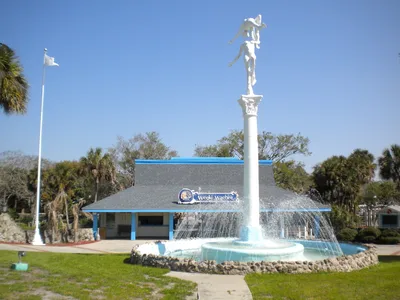 Kings Bay Scenic Cruise from Plantation in Crystal River