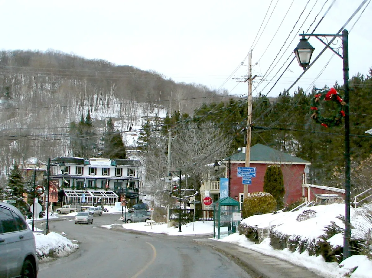 Mont Tremblant 3-Hour Guided Zipline Tour with Five Lines