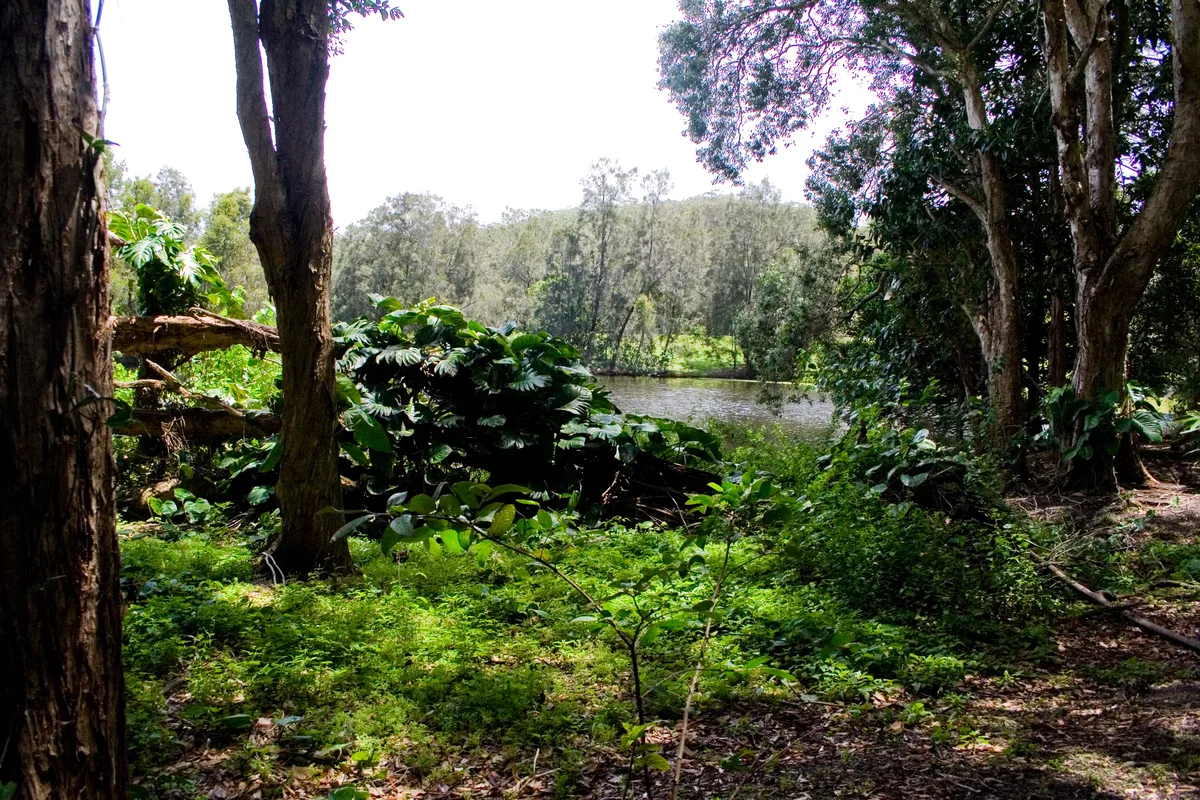 Currumbin Wildlife Sanctuary General Entry Ticket in Gold Coast