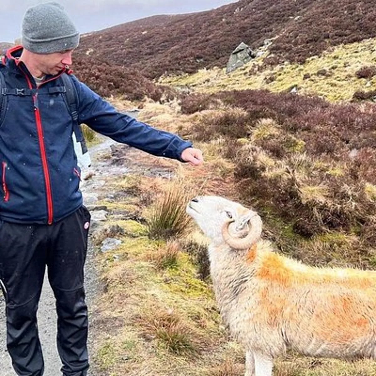 English Speaking Homestay Exploring Edinburgh and National Parks