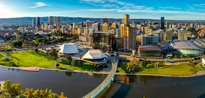 Adelaide Dolphin Sanctuary and Ships Graveyard Kayak Tour