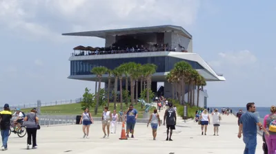 Dolphin Watching Nature Cruise and Eco Tour from Hubbard's Marina in John's Pass