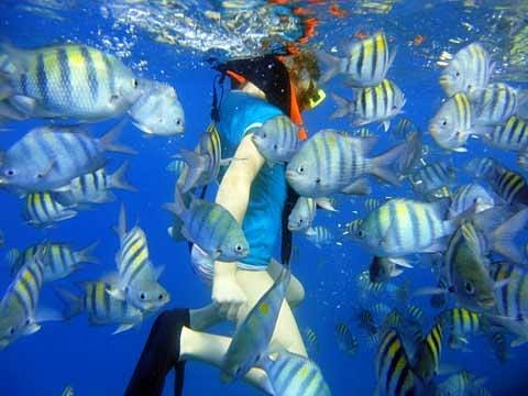 Barbados Blue Water Sports
