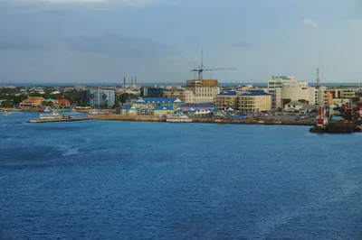 Stingray City in Grand Cayman with One Snorkeling Stop