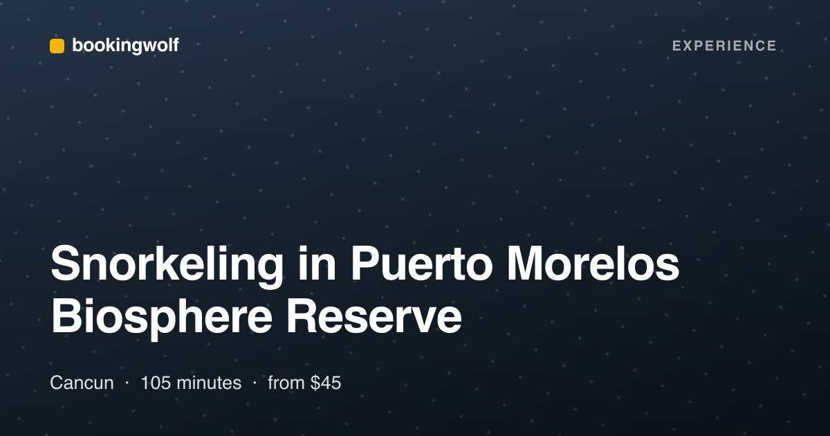 Snorkeling in Puerto Morelos Biosphere Reserve