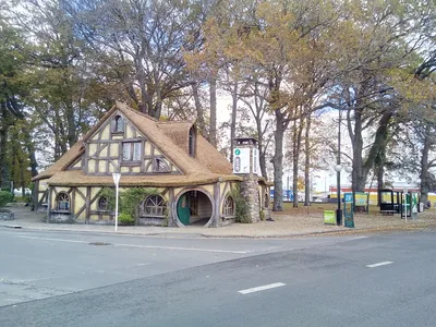 Hobbiton Movie Set Day Tour from Rotorua with Lunch at Hobbiton