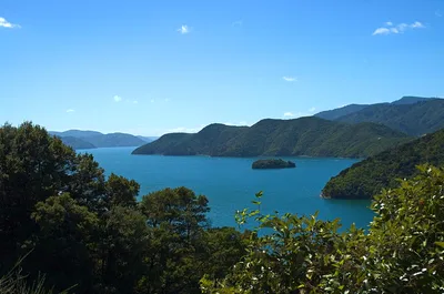 Queen Charlotte Sound Mail Boat Cruise in Picton
