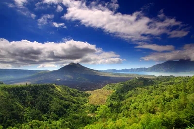 Bali Downhill Cultural Cycling Tour with Coffee Tasting, Charity Visit, and Priest Compound in Ubud