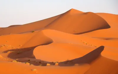 Marrakech Desert Buggy Tour with Berber Tea Break and Transfer
