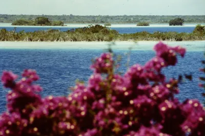 Sailing Tour through Laguna de los Siete Colores in Bacalar