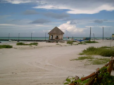 Bioluminescence Experience in Holbox with Private Transport and Snorkeling Equipment