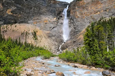 Athabasca Glacier Snow Trip with Ice Explorer and Glacier Skywalk from Banff