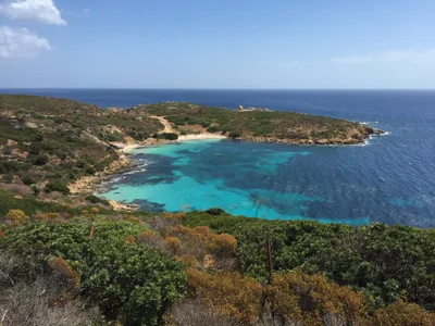 Asinara Island National Park Catamaran Excursion with Lunch from Stintino