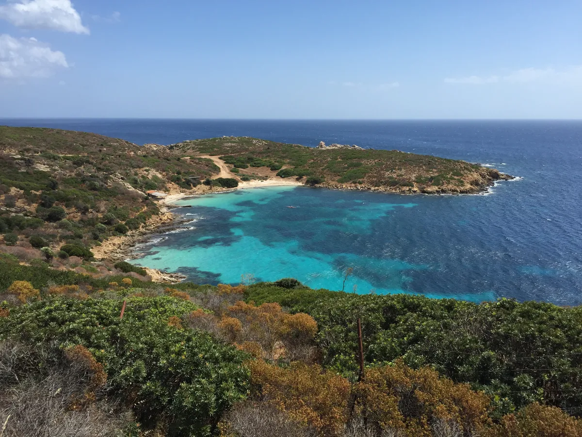 Asinara Island National Park Catamaran Excursion with Lunch from Stintino