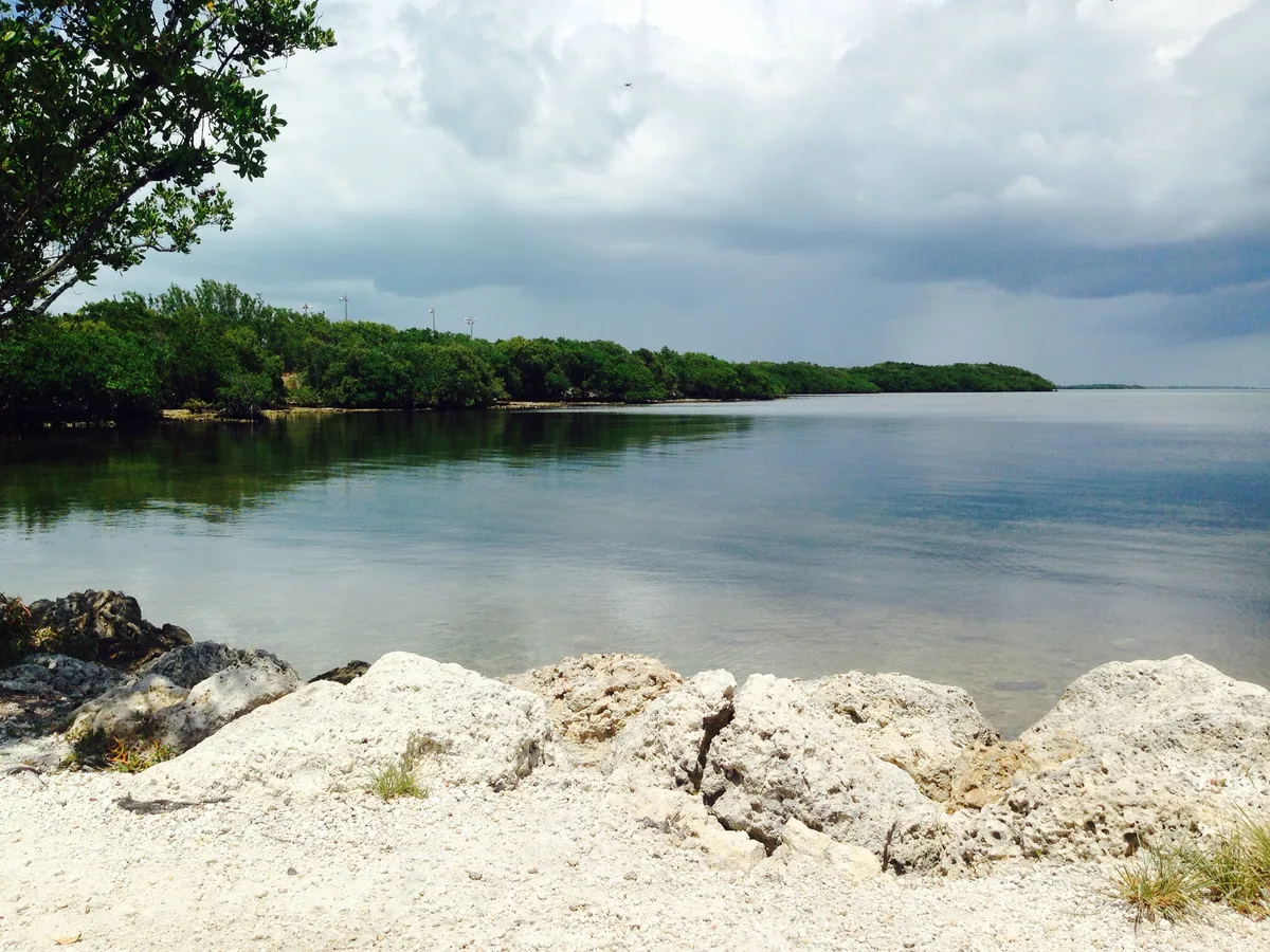 Key Largo Coral Reef Glass Bottom Boat Adventure on the M. V. Key Largo Princess