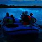 BK Adventure Florida - Bioluminescence Tours