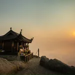 The Bodhi Journey