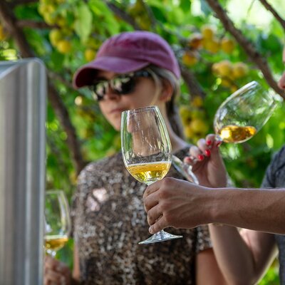 Borravino WineTours