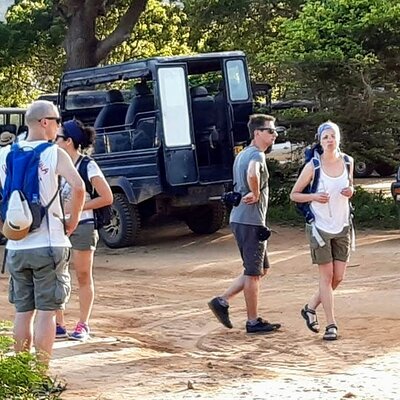 BTR SL
