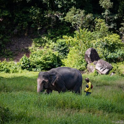 Bukit Elephant Park