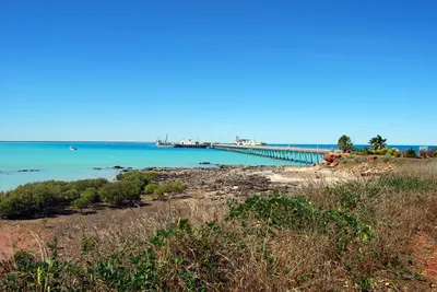 Malcolm Douglas Crocodile Park Tour in Broome Including Transportation