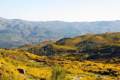 Kayaking, Waterfall and Lunch in Peneda-Gerês National Park from Porto