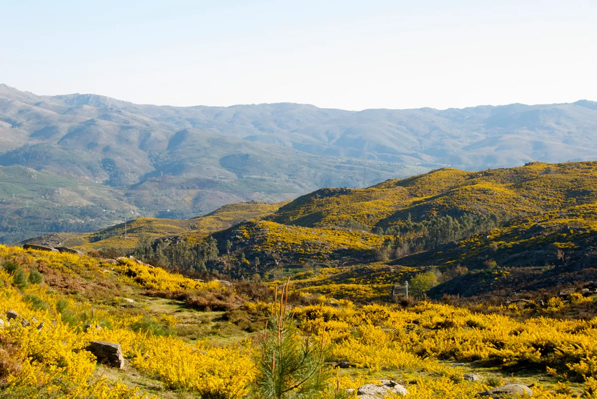 Kayaking, Waterfall and Lunch in Peneda-Gerês National Park from Porto