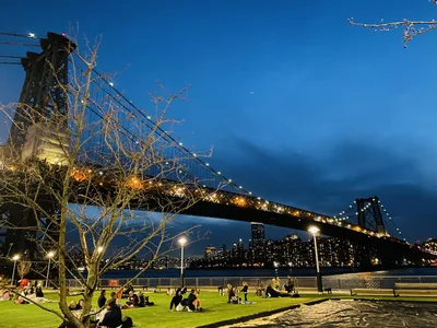 Williamsburg Walking Tour with Six Food Tastings in New York City