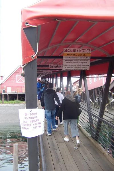 Hoonah Guaranteed Whale Watching Cruise to Icy Strait and Point Adolphus, 3 Hours