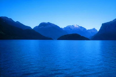 Doubtful Sound Wilderness Day Cruise from Manapouri