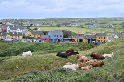 Cliffs of Moher Hiking Tour from Doolin - Small Group
