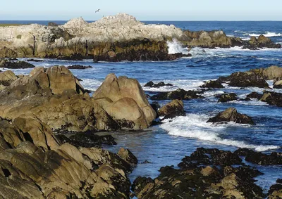 Monterey 17-Mile Drive Guided Electric Bike Tour, 3 Hours