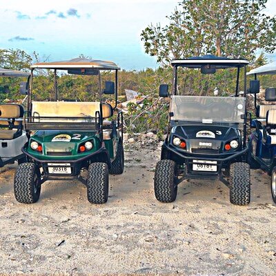 Cactus Carts