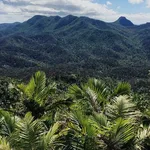 Caribbean Breeze Adventures