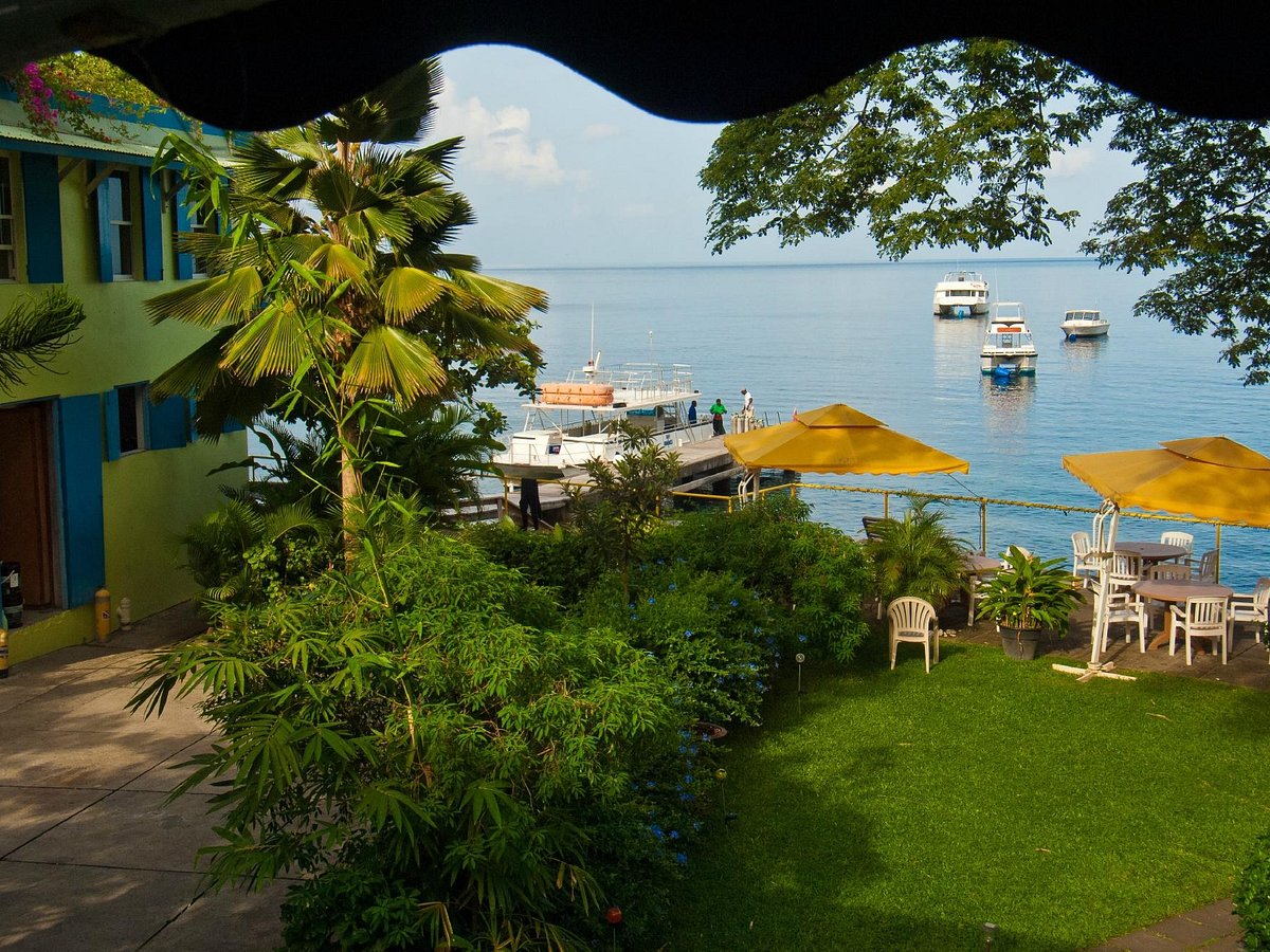 Castle Comfort Diving Lodge Dive Dominica