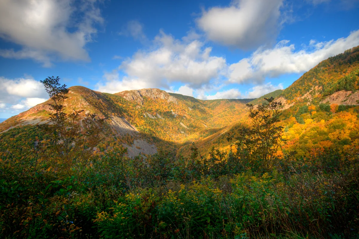Cabot Trail Discovery Tour from Baddeck with Cape Breton Highlands National Park