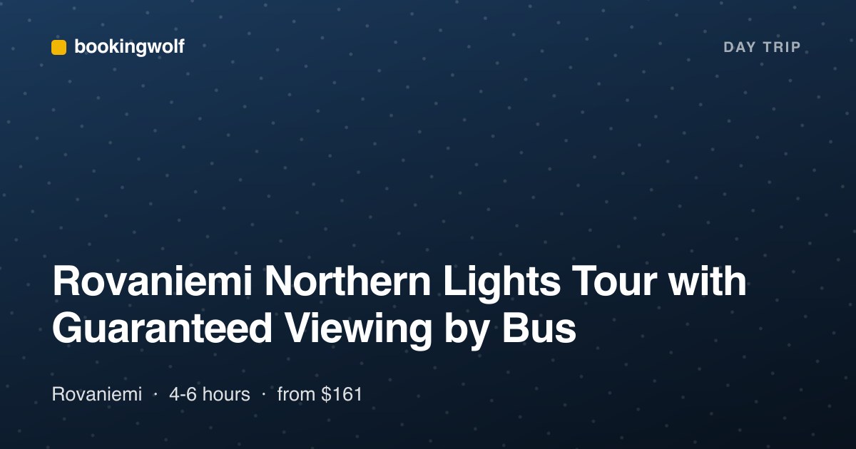 Rovaniemi Northern Lights Tour with Guaranteed Viewing by Bus