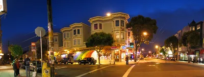 San Francisco Painted Ladies and City Highlights Bus Tour