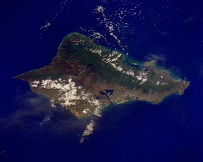 Pelagic Shark Dive Tour in Oahu with Safety Diver and Snorkeling Equipment