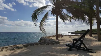 Xcaret Park Entry Tickets with Cultural Night Show in Cancun