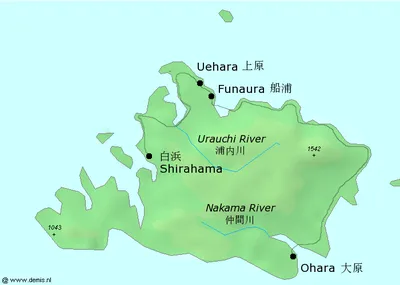 Okinawa Iriomote SUP or Canoe Mangrove Tour