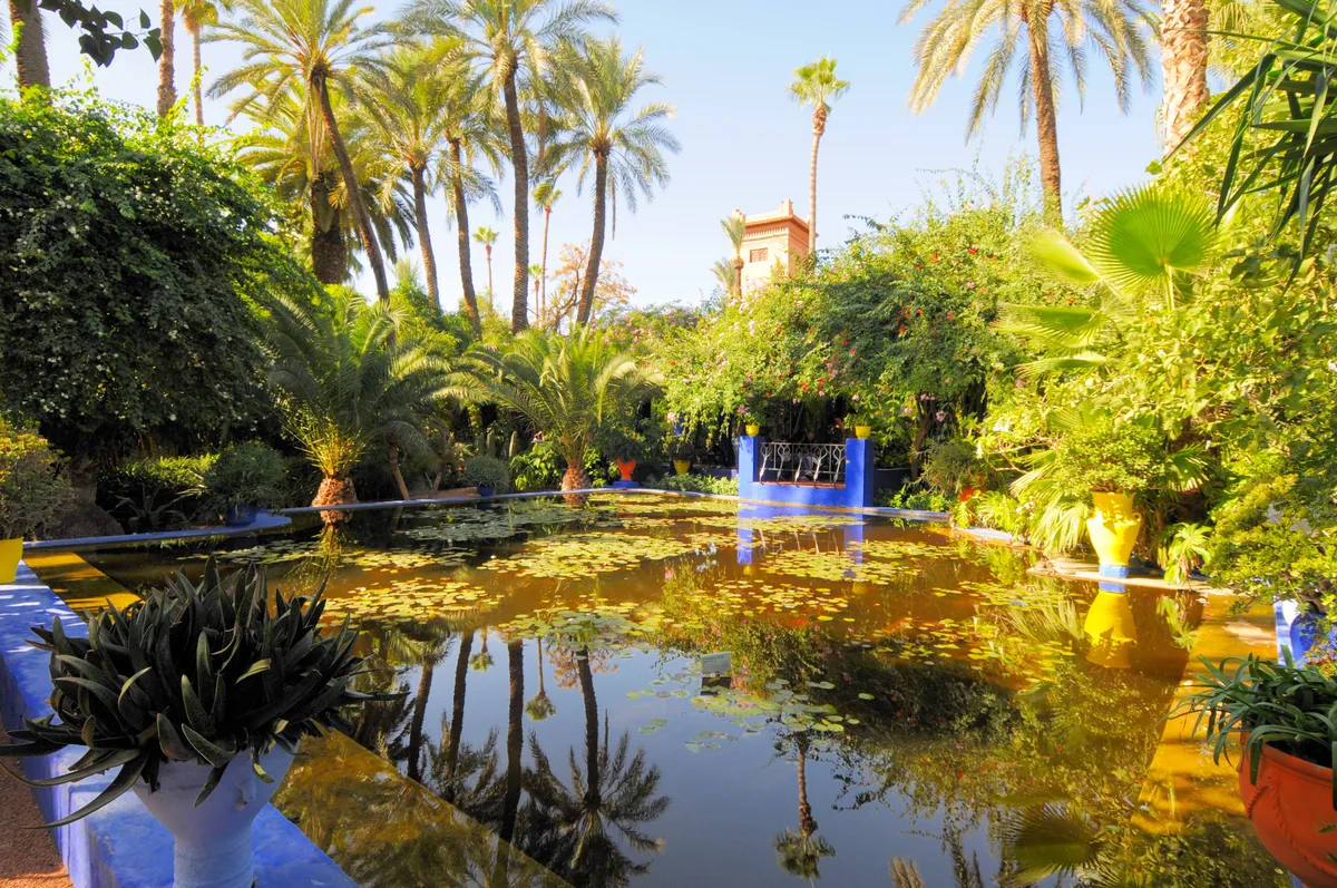 Marrakech Private Custom-Made City Tour with Majorelle Garden, Saadian Tombs, Bahia Palace, Medina, YSL Museum