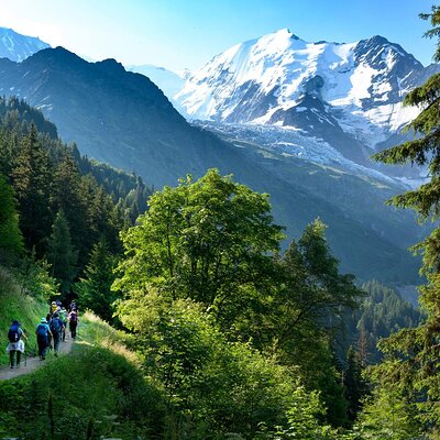 Chamonix Experience